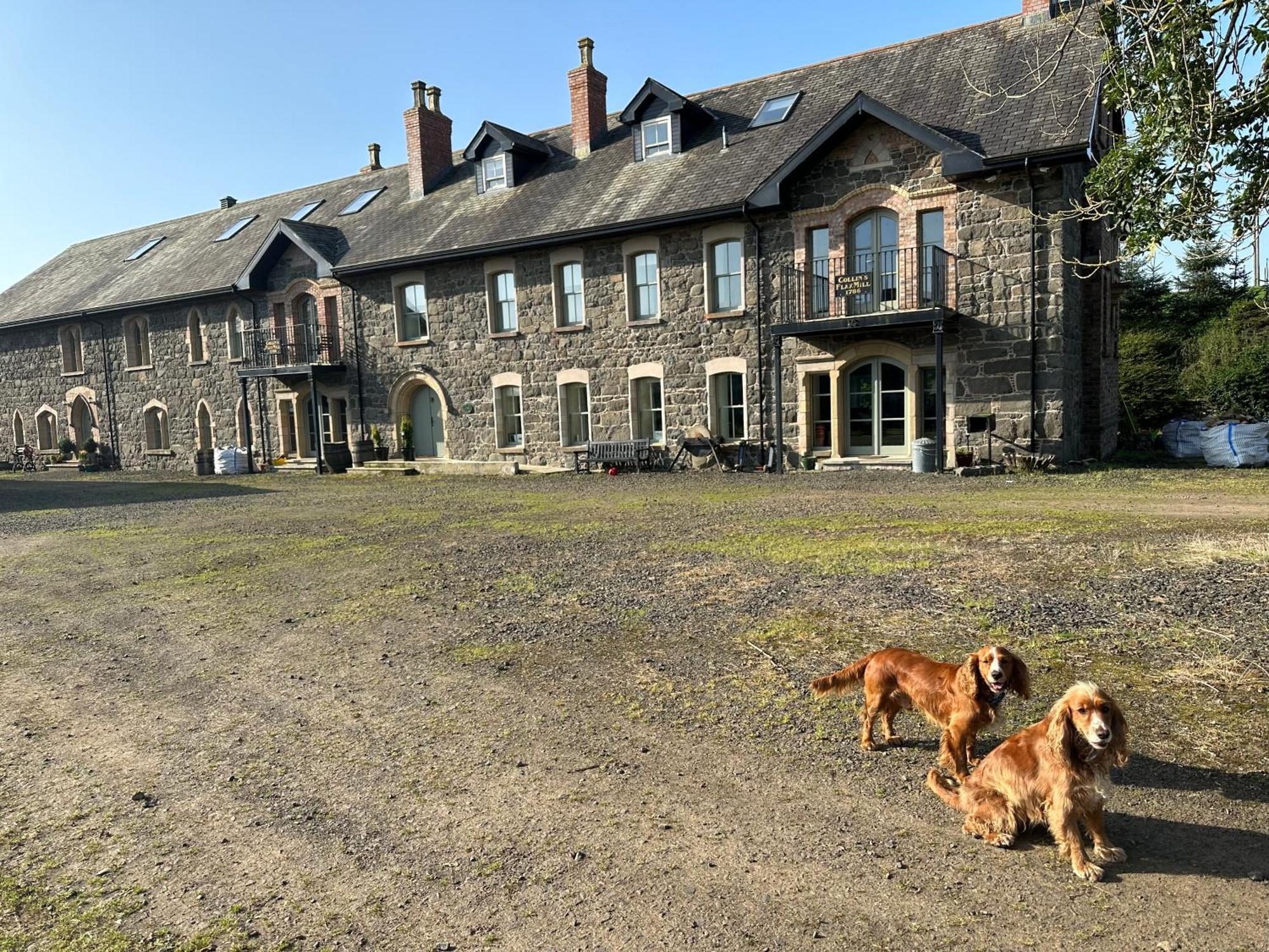 The Old Flax Mill Yoga Retreat Villa Coleraine Eksteriør billede